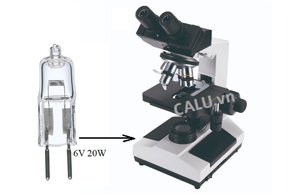 Bóng đèn 6v 20w lắp cho kính hiển vi