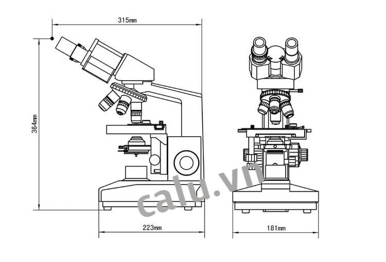 biological microscope l1100a